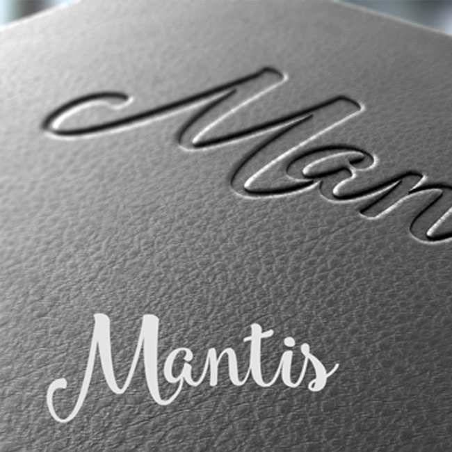 Logo designed for Mantis